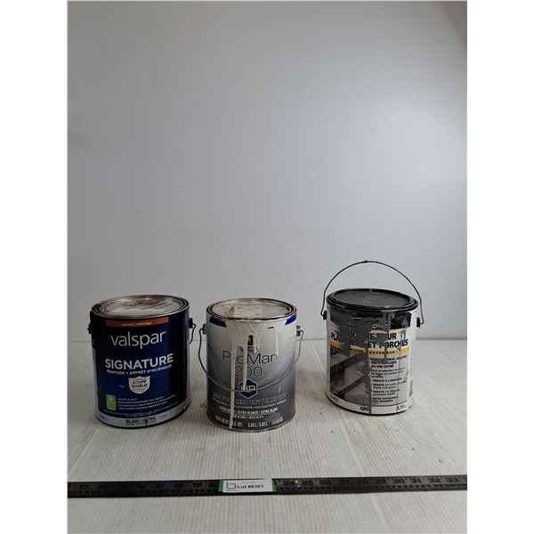 (3) Cans Of Interior Paint;Grey White, Beige-Already Opened ( cannot ship)