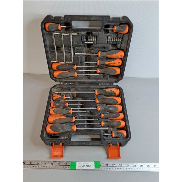 Dynamic Screwdriver Set & Case