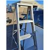 Image 3 : **5-Step Stepladder No Shipping