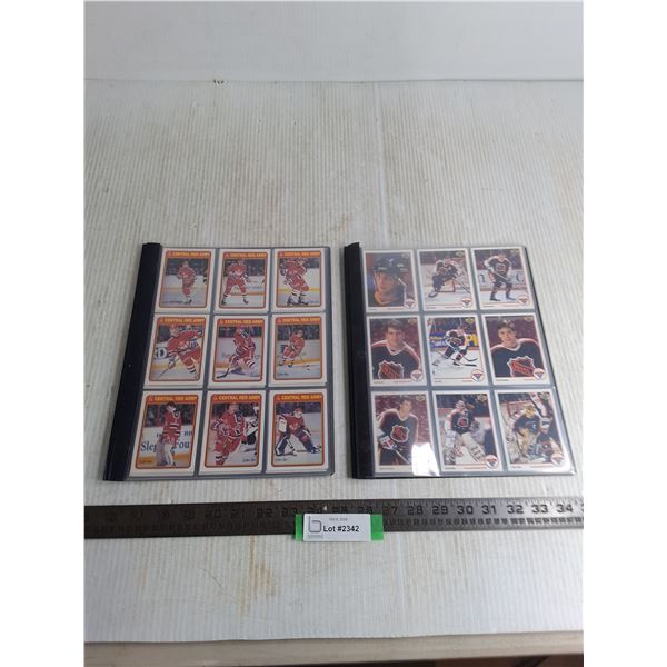 (30+) Assorted NHL & Soviet Red Army Hockey Collector Cards in Folders - Cannot Authenticate