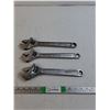 Image 1 : (3) Chrome Vanadium Wrenches