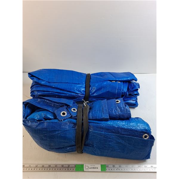 (2) Tarps