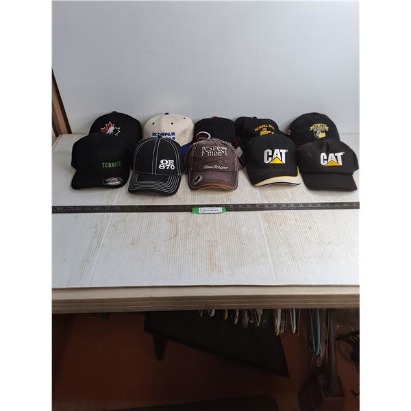 (10) Baseball Caps , Adult Size