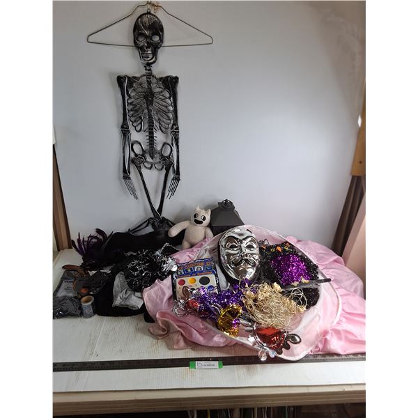 Large Assortment of Halloween Decor & Costumes - All As is