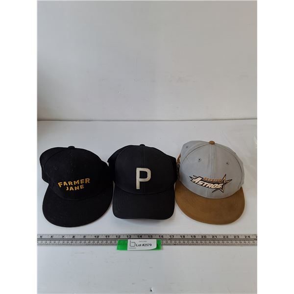 (3) Baseball Caps,  Farmer Jane, Puma P, Houston Astros