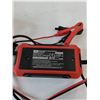 Image 3 : 12V Intelligent Pulse Repair Charger, Tow Rope