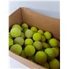 Image 2 : Box of Tennis Balls