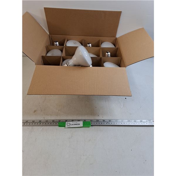 Box of (12) 65W 120V Flood Lights, Pickup Preferred