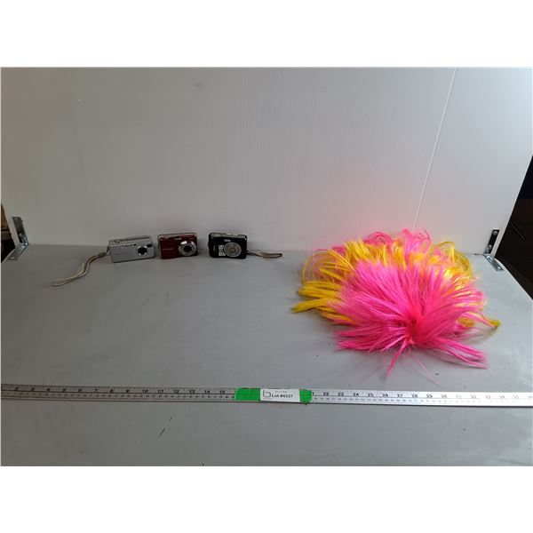 Pink & Yellow Wig and (3) Digital Cameras- Sony Powers On