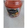 Image 3 : (2) Five Pound Weights - Sunlit Mandarin Berry Candle - Misc Glasswear - Christmas Dog - Gift Box