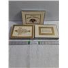Image 1 : (3) Boxes of Christmas Cards (sealed)