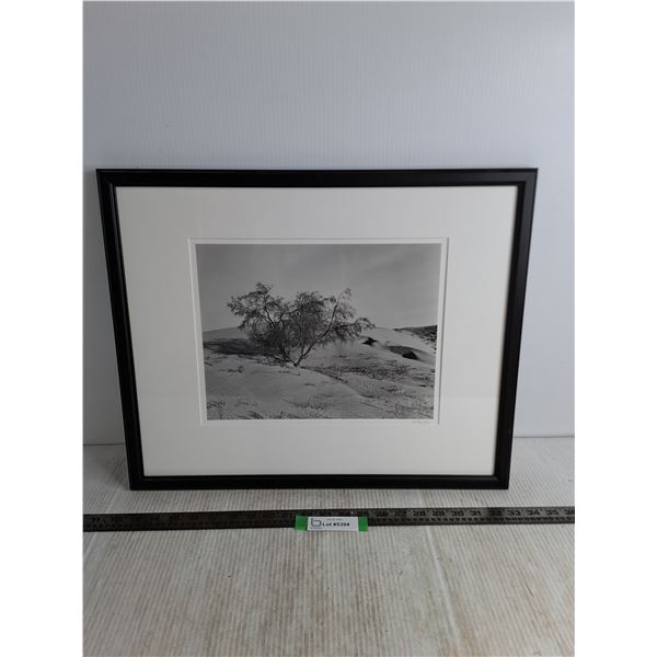 Framed  Great Sandhills  Photograph by Al Hartley - 21  x 17.5 