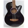 Image 4 : (1) SKY Acoustic-Electric Bass Guitar in Black Gloss finish, Pickup Only