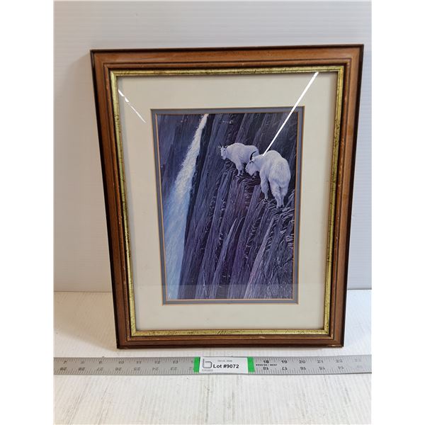 Framed Artwork- Sheer Drop-Mountain Goats by Robert Bateman 13 x16 