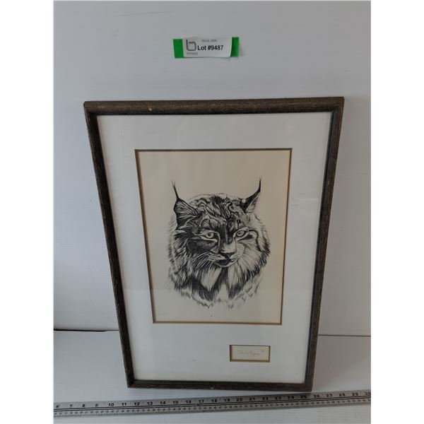 Canadian Lynx Drawing by Shirley Nygren, 1988, 14 3/4  x 22 1/4 