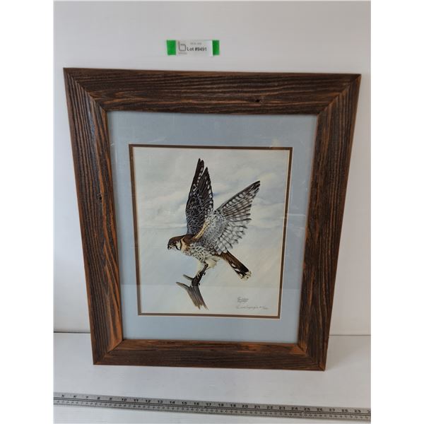 Painting Print  Approaching Storm  of Sparrow Hawk by Paulette Sapergia 21 1/4  x 25 1/4 