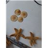 Image 7 : Lobster Trap Lamp Tested Works, PEI Lobster Cage Souvenir, (2) Dried Starfish As-Is, (4) Sand Dollar