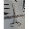 Image 5 : (10+) Assorted Shears & Scissors (1) Towel Clamp & Temaculum Forceps All As-Is