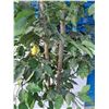 Image 2 : ~Light Up Fake Tree (80" Tall) - Standing Fan (48" Tall) - Untested, Consignor Says Works - As Is
