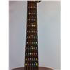 Image 4 : CBS Masterworks Acoustic Guitar w/ Training Stickers and Capo, Pickup Only