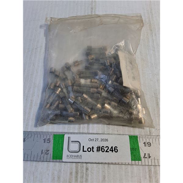Lot of (75)   20 Amp Fuses