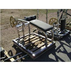 5154 "LEG PRESS"  1 5 "0" 0 0 700005 0 1  