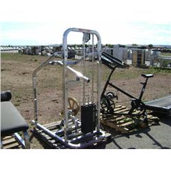 5155 "WEIGHT PRESS"  1 5 "0" 0 0 700005 0 1  