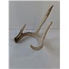Image 5 : (2) Deer Antler Sheds, Pickup Preferred