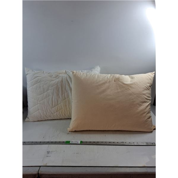 (2) Pillows 23"x17"