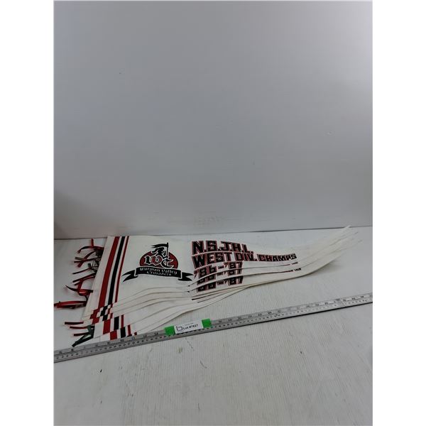 (7) Warman Valley Crusaders NSJHL West Division Champions 1986–1987 Felt Pennants