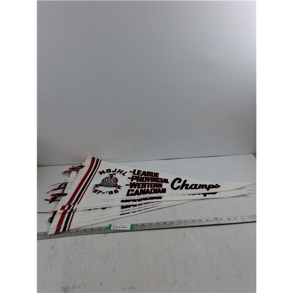NSJHL Warman Valley Crusaders '87–'88 League, Provincial, And Western Canadian Champs Felt 