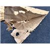 Image 3 : Antique Hawaiian Kapa (possibly Kapa Moe), Yellow, Very Fragile 74" x 44"