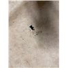 Image 13 : Antique Hawaiian Kapa, Single Sheet (iho), Natural Color 104" x Approx 80" (Appraisal Value $500)
