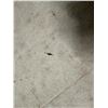 Image 15 : Antique Hawaiian Kapa, Single Sheet (iho), Natural Color 104" x Approx 80" (Appraisal Value $500)