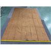 Image 13 : Antique Hawaiian Kapa, Single Sheet (kilohana), Coffee Color 118" x 81" (Appraisal Value $1,800)