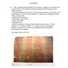 Image 14 : Antique Hawaiian Kapa Moe (5 Sheets, Complete), Brown & Pink 100" x 73" (Appraisal Value $4,500)
