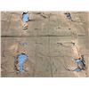Image 7 : Antique Hawaiian Kapa Moe (5 Sheets, Complete), Coffee Color  102" x 79" (Appraisal Value $900)