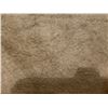Image 9 : Antique Hawaiian Kapa Moe (5 Sheets, Complete), Coffee Color  102" x 79" (Appraisal Value $900)