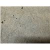 Image 8 : Antique Hawaiian Kapa, Fragment (mamaki fiber), Pale Brown 44" x 8" (Appraisal Value $350)