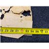 Image 11 : Antique Hawaiian Kapa, Single Sheet (possibly kihei), Yellow, 43" x 34" (Appraisal Value $150)