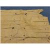 Image 4 : Antique Hawaiian Kapa, Single Sheet (possibly kilohana), Yellow  115" x 78" (Appraisal Value $1,500)