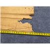 Image 9 : Antique Hawaiian Kapa, Single Sheet (possibly kilohana), Yellow  115" x 78" (Appraisal Value $1,500)