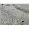 Image 10 : Antique Hawaiian Kapa, Single Sheet (kilohana), Pale Blue-Gray  86" x 50" (Appraisal Value $1,500)