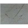 Image 10 : Antique Hawaiian Kapa Moe Iho (4 Sheets, Incomplete), Natural 93" x 83" (Appraisal Value $1,200)