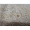 Image 11 : Antique Hawaiian Kapa Moe Iho (4 Sheets, Incomplete), Natural 93" x 83" (Appraisal Value $1,200)