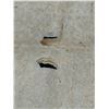 Image 7 : Antique Hawaiian Kapa Moe Iho (3 Sheets, Incomplete), Natural 104" x 84" (Appraisal Value $1,000)