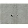 Image 9 : Antique Hawaiian Kapa Moe Iho (3 Sheets, Incomplete), Natural 104" x 84" (Appraisal Value $1,000)
