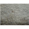Image 7 : Antique Hawaiian Kapa, Single Sheet (iho), Natural Color 103" x 85" (Appraisal Value $900)