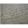Image 9 : Antique Hawaiian Kapa Moe Iho (2 Sheets), Natural Color 101" x 85" (Appraisal Value $1,800)