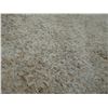 Image 9 : Antique Hawaiian Kapa Moe Iho (2 Sheets, Incomplete), Natural 122" x 95" (Appraisal Value $1,000)